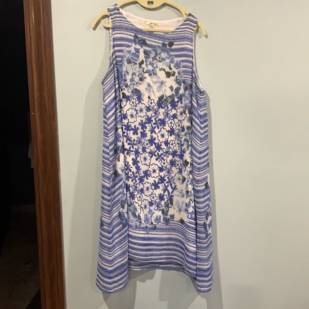 Sophie Max Blue and White Striped Floral Maxi Dress